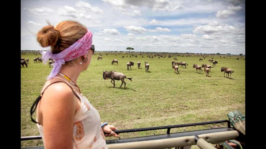Nairobi: 3-Day Maasai Mara Group Tour with 4X4 Jeep Safari - Who will get the most from this safari