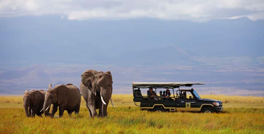 Nairobi: 4-Day Maasai Mara & Lake Nakuru Camping Safari - Day two, a full day beside the Mara River