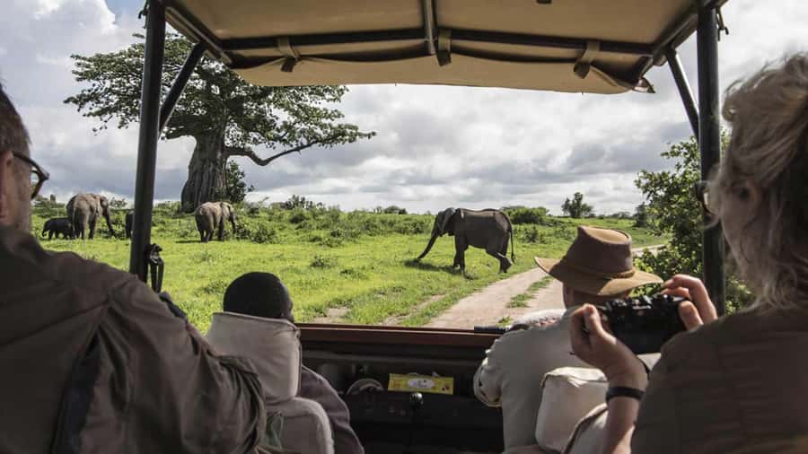 Nairobi: 4-Day Maasai Mara & Lake Nakuru Camping Safari - Camping near Maasai Mara