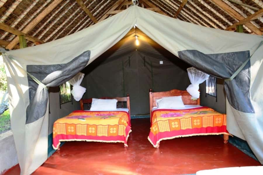 Nairobi: 4 Day Masai Mara and Lake Nakuru Camping Safari - Should you book the Maasai Mara and Lake Nakuru safari?