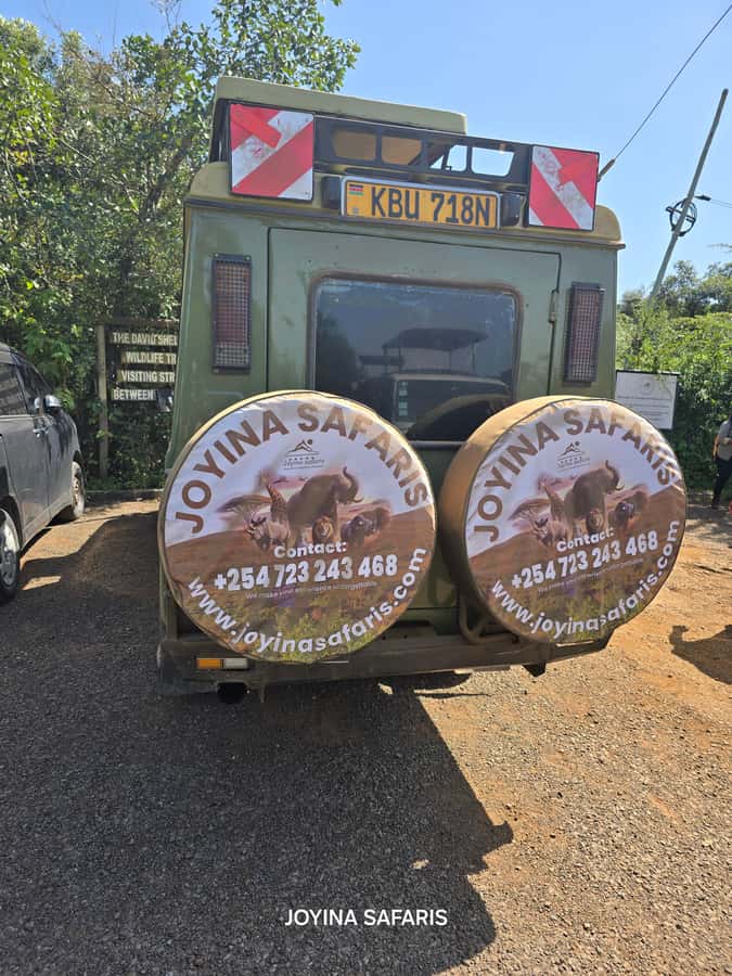 Nairobi: 4 Days Masai Mara & Lake Nakuru 4WD Camping Safari - Masai Mara gives you the biggest wildlife payoff