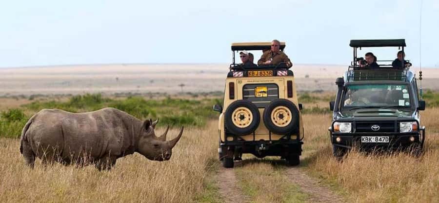 Nairobi: 4 Days Masai Mara & Lake Nakuru 4WD Camping Safari - What the $380 price really buys