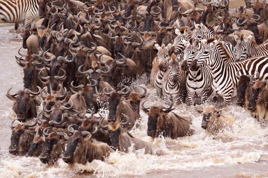 Nairobi: 5 Days Maasai Mara, Nakuru & Naivasha Tour - The road from Mara to Nakuru