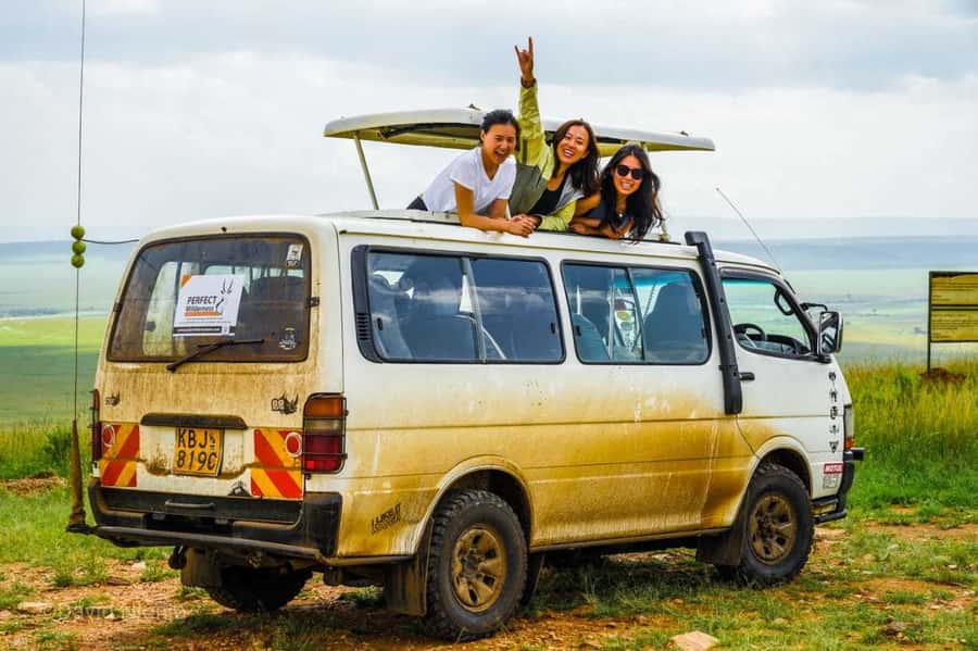 Nairobi: 5 Days Maasai Mara, Nakuru & Naivasha Tour - A full day among lions, cheetahs, and river hippos