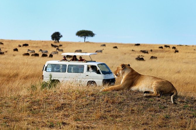 Nairobi Airport Layover Half Day Tour Nairobi National Park - Should you book the Nairobi airport layover safari?