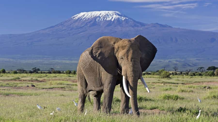 Nairobi: Amboseli National Park Day Trip with Masai Village - The early road from Nairobi to the park