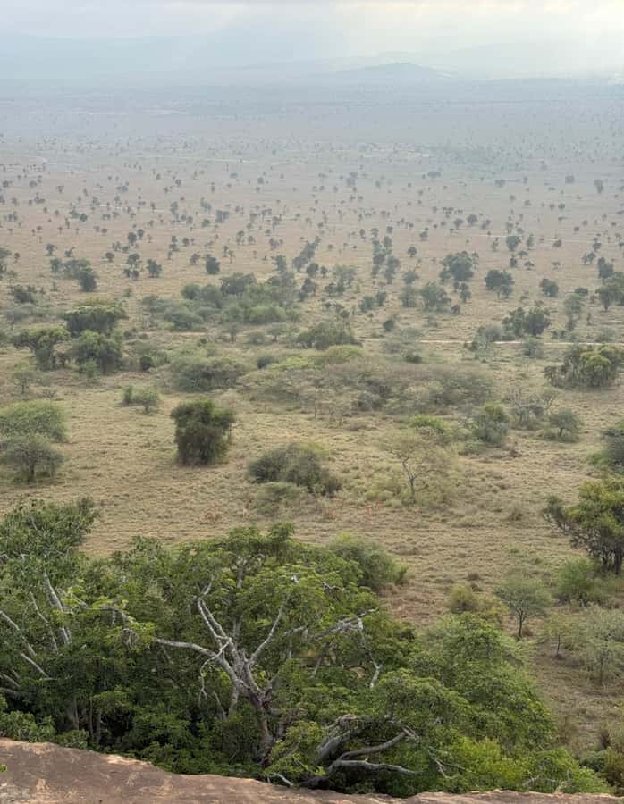 Nairobi: ATV/Quad Bike Wildlife Safari with Transfers & meal - Lunch beside the swimming pool or garden