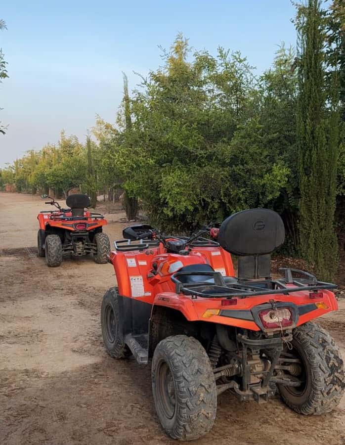 Nairobi: ATV/Quad Bike Wildlife Safari with Transfers & meal - Families, beginners, and solo riders