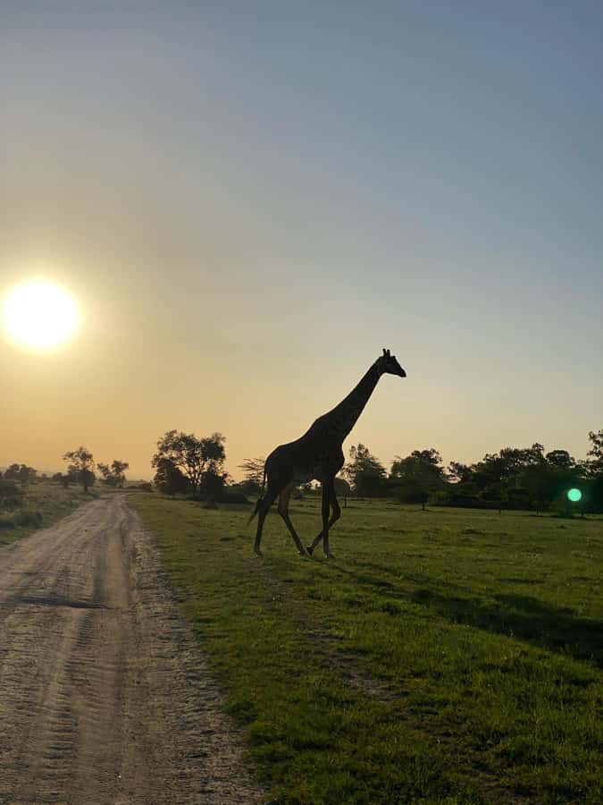 Nairobi: ATV/Quad Bike Wildlife Safari with Transfers & meal - From Nairobi pickup to Machakos County