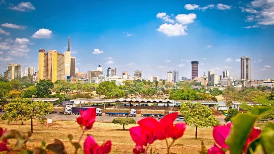 Nairobi City Guided Tour - Key points at a glance