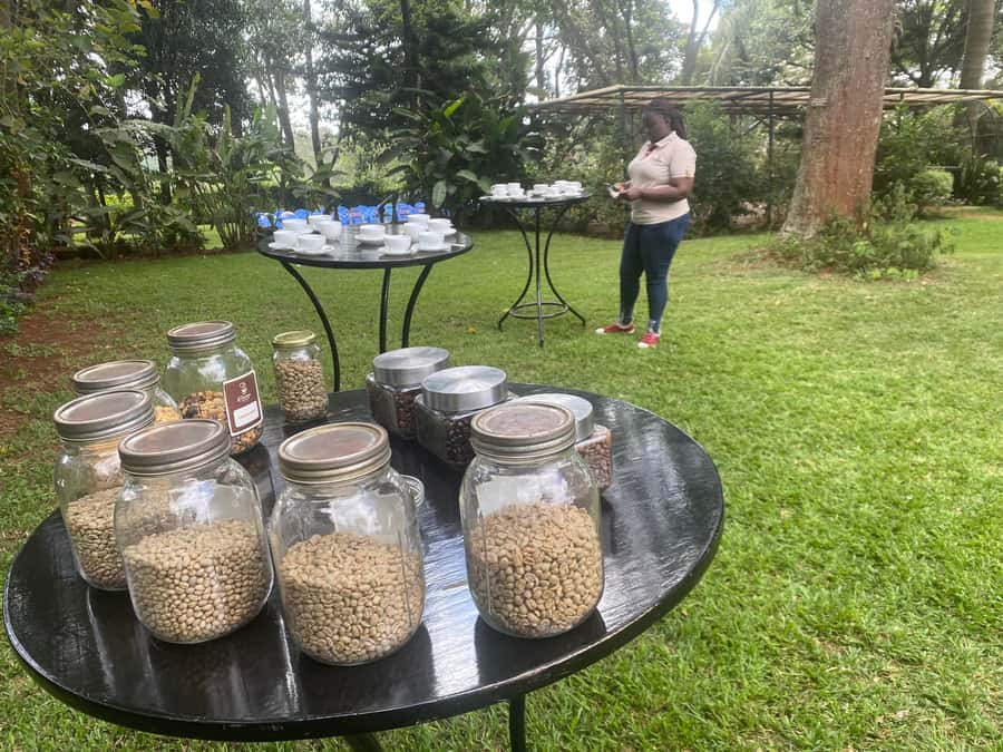 Nairobi: Coffee Factory and Farm Tour with Transfer - Key points at a glance