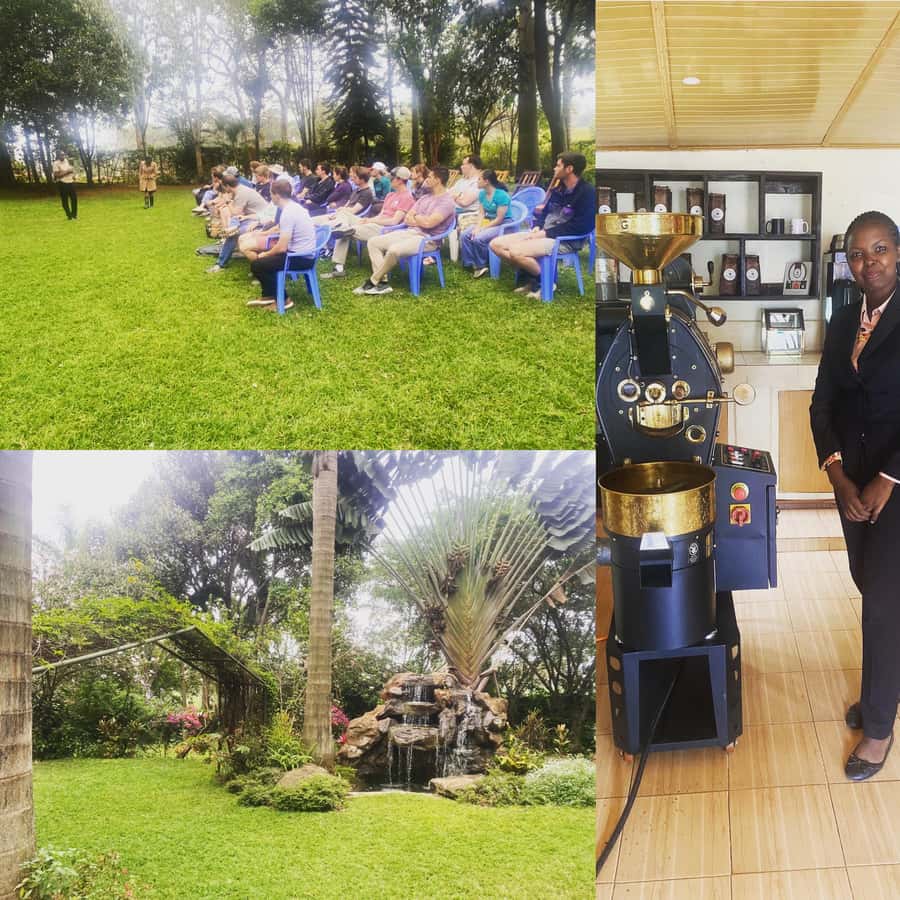 Nairobi: Coffee Factory and Farm Tour with Transfer - From cherry to dried bean