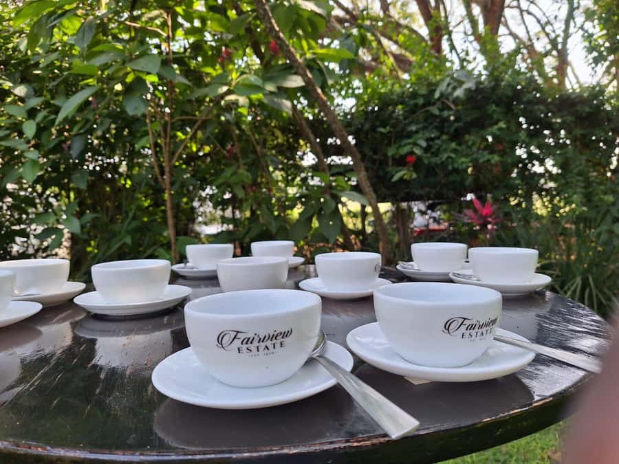 Nairobi: Coffee farm tour with pick up - Why Fairview Estate makes a good Nairobi outing