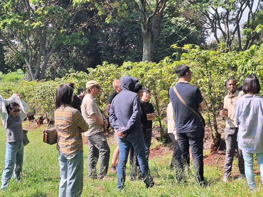 Nairobi: Coffee farm tour with pick up - Learning how Kenyan coffee tastes