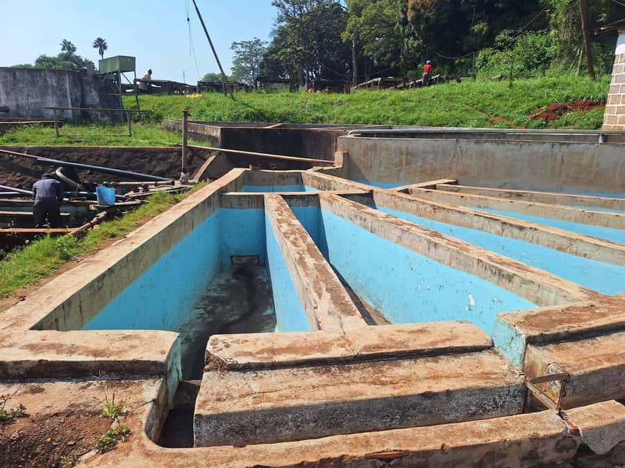 Nairobi: Coffee farm tour with pick up - A coffee break with estate views
