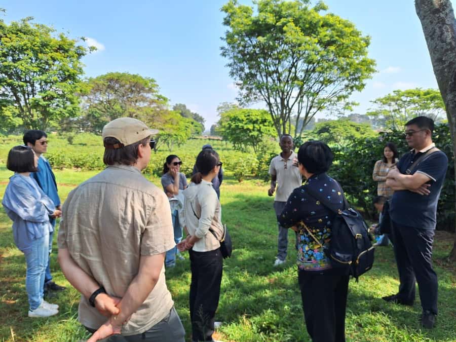 Nairobi: Coffee farm tour with pick up - The 9:00 AM pickup from Nairobi