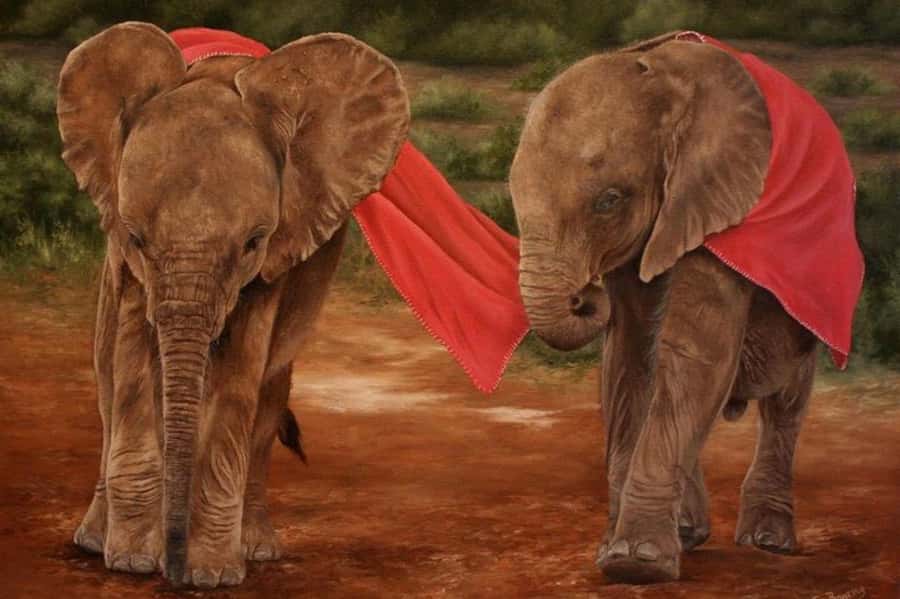 Nairobi: David Sheldrick Elephant Orphanage Visit - Why the 11 AM feeding session matters