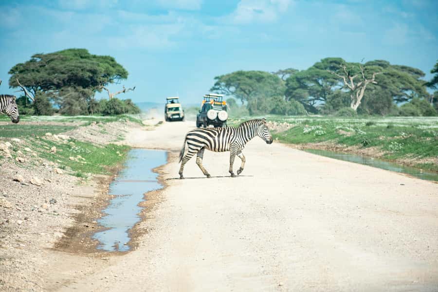 Nairobi: Day Tour to Amboseli National Park & Maasai Village - Who will enjoy this day trip