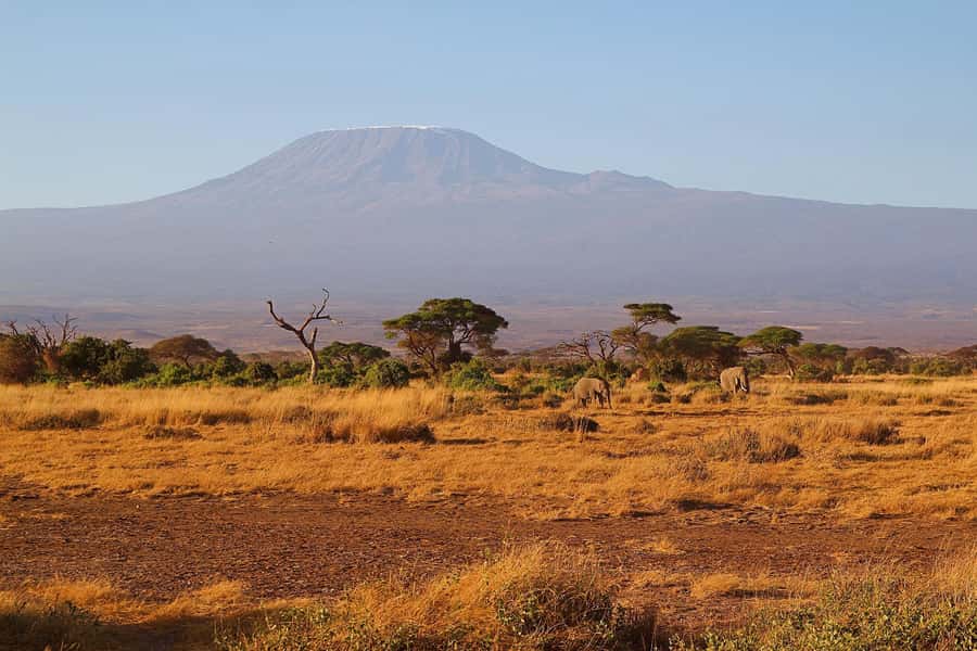 Nairobi: Day Tour to Amboseli National Park & Maasai Village - Comfort, group size, and what to pack