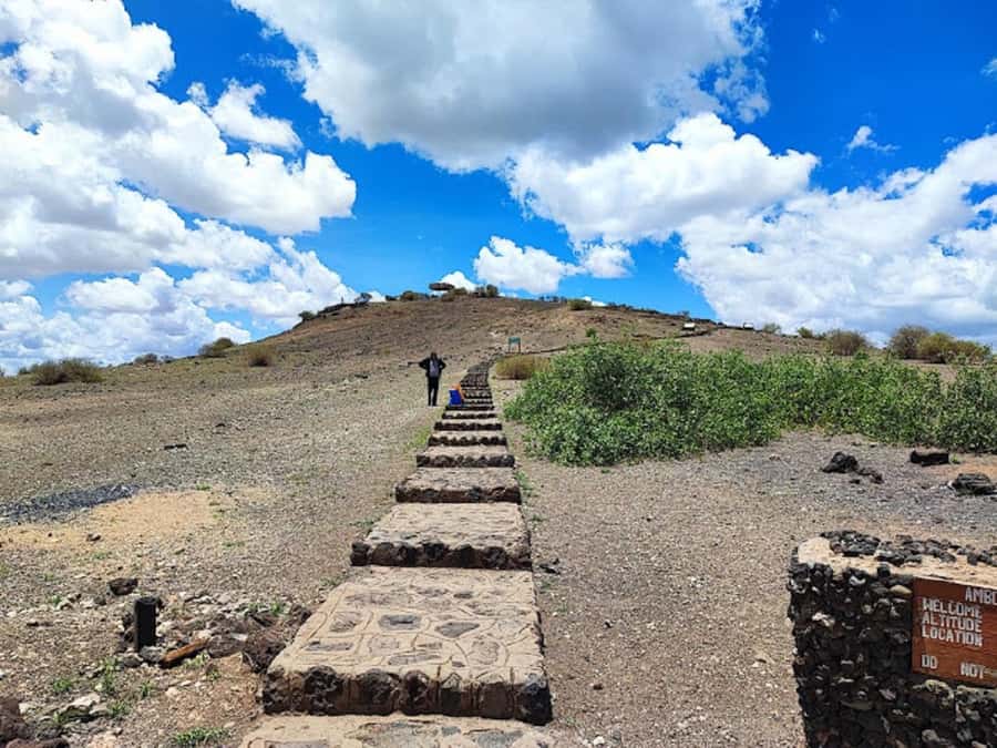 Nairobi: Day Trip to Amboseli National Park - Optional Maasai village visit