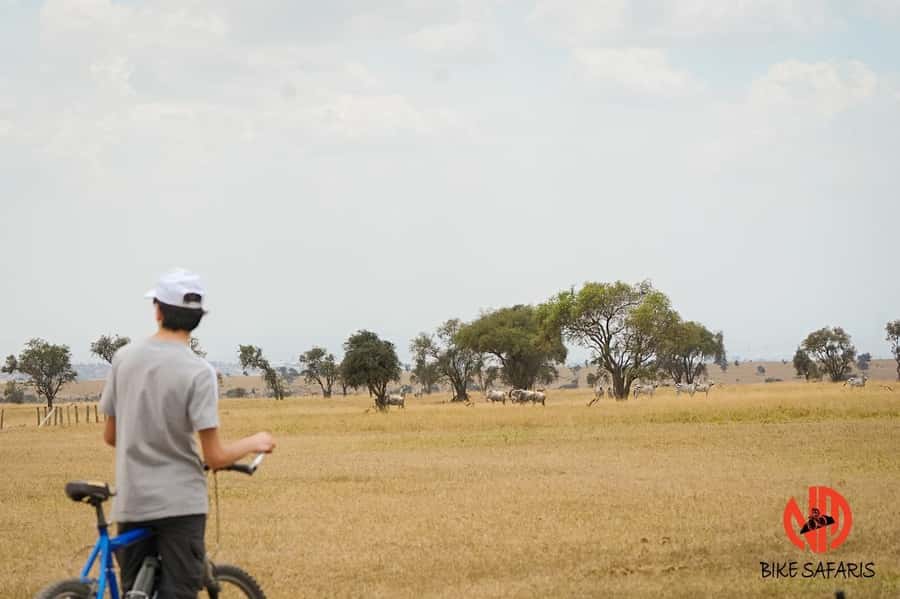 Nairobi: E-Bike/Cycling Wildlife Safari with Transfer & meal - Why a bicycle safari near Nairobi feels different
