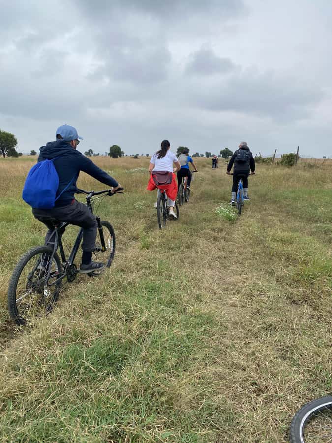 Nairobi: E-Bike/Cycling Wildlife Safari with Transfer & meal - The animals you may see along the trail
