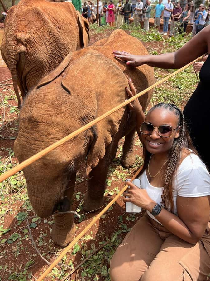 Nairobi: Elephant Orphanage, Beads Factory , giraffe center - Hotel Pickup, Vehicles, and Timing
