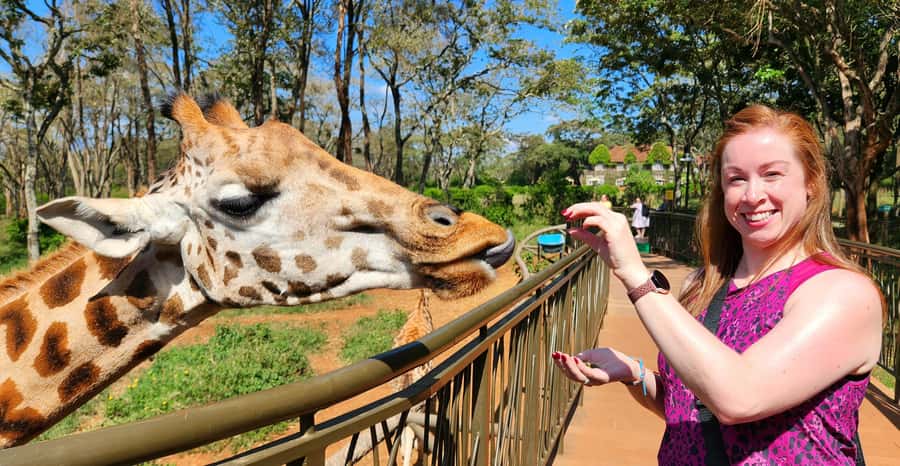 Nairobi: Elephant Orphanage Trust and Giraffe Center Tour - Why this seven-hour Nairobi tour works
