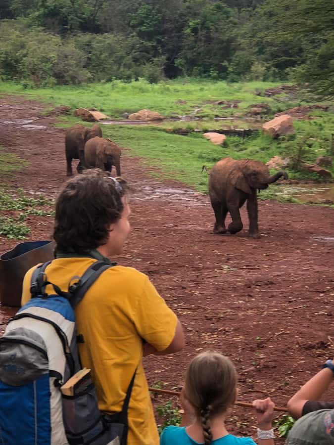 Nairobi: Elephant Sanctuary and Giraffe Center Day Tour - Key points to know before you book