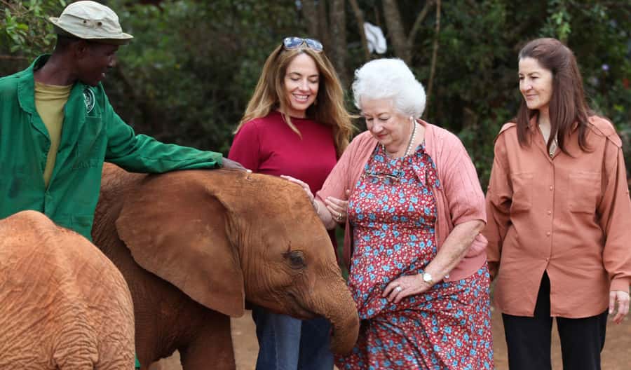 Nairobi: Elephant Sanctuary and Giraffe Center Day Tour - The 11 a.m. elephant presentation at Sheldrick