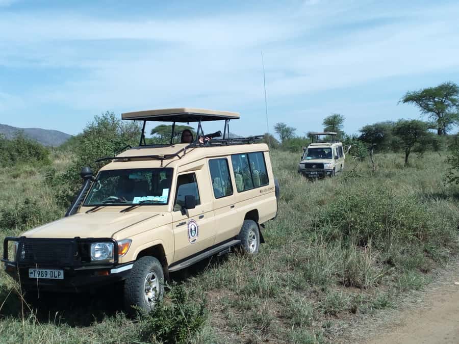 Nairobi: Elephants, Giraffes, Karen Blixen & Bomas Tour - What this full-day Nairobi tour really covers