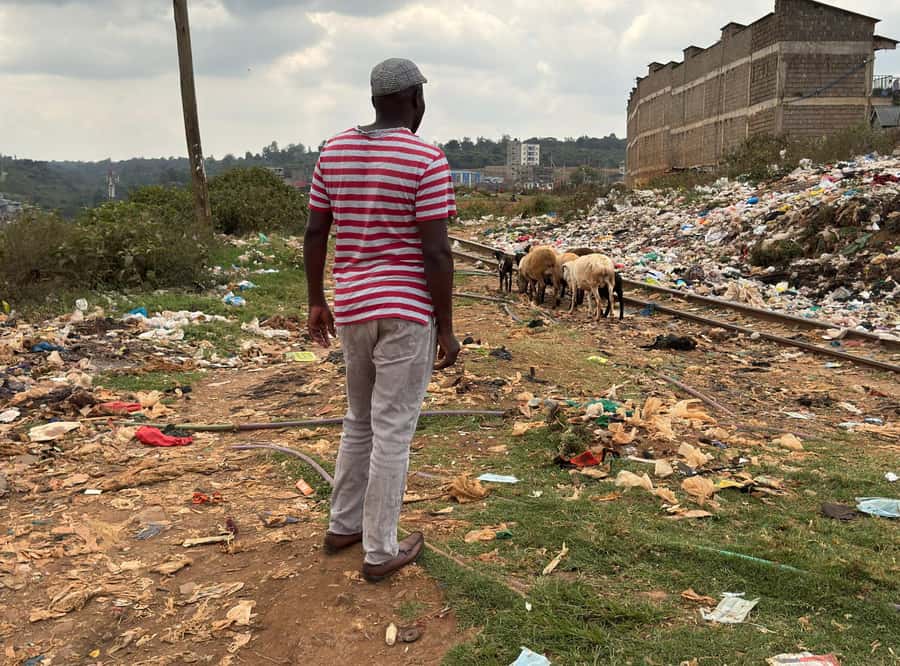 Nairobi: Explore Kibera Slum with Local Guides - Key points to know before you go