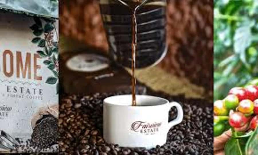 Nairobi: Fairview Coffee Estate Tour with Pickup - Seeing the wet mill and dry mill in sequence