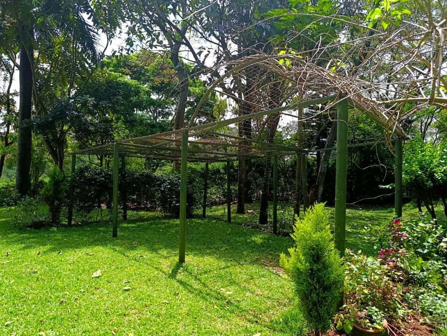 Nairobi: Fairview Coffee Estate Tour with Pickup - The firewood roasting workshop