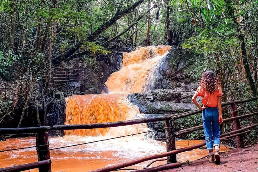 Nairobi: From Nairobi-Karura Forest Guided Walking Tour - Key points to know