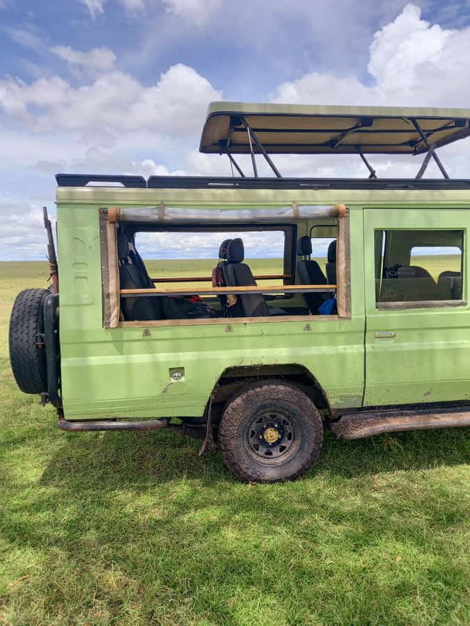 Nairobi: Game drive, elephant Orphanage & giraffe centre. - Feeding giraffes at the Giraffe Centre