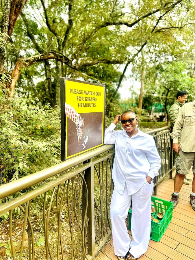 Nairobi: Game drive, elephant Orphanage & giraffe centre. - Eric Munene’s guiding style