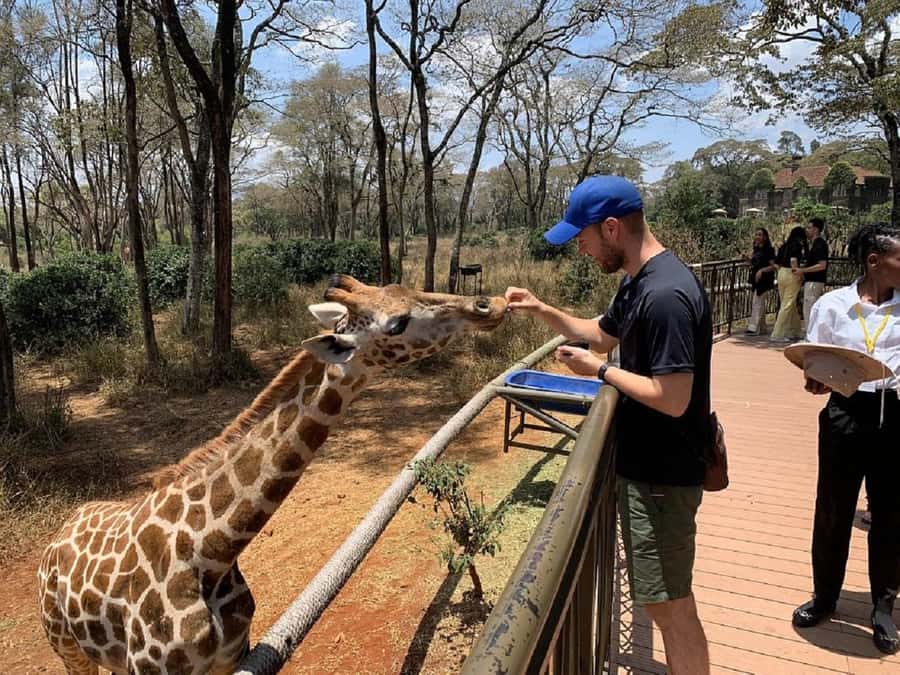 Nairobi:Giraffe Center, Baby Elephant and Beads factory Tour - Why this half-day Nairobi tour works