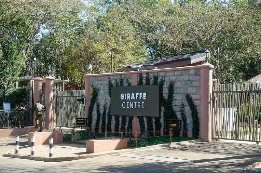 Nairobi:Giraffe Center, Baby Elephant and Beads factory Tour - Who will enjoy this Nairobi outing most