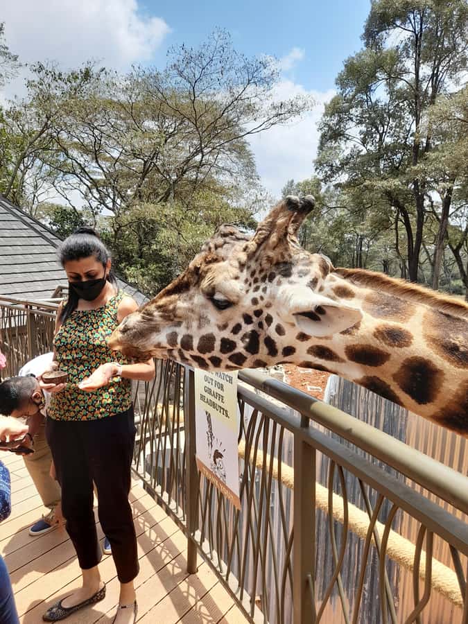 Nairobi: Giraffe Center, Beads Factory & Bomas of Kenya Tour - Traditional music and dance at Bomas of Kenya