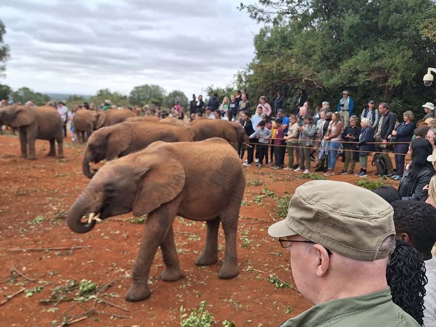Nairobi: Giraffe Center, Elephant Orphanage, and Beads Tour - Starting with giraffes at the Giraffe Centre