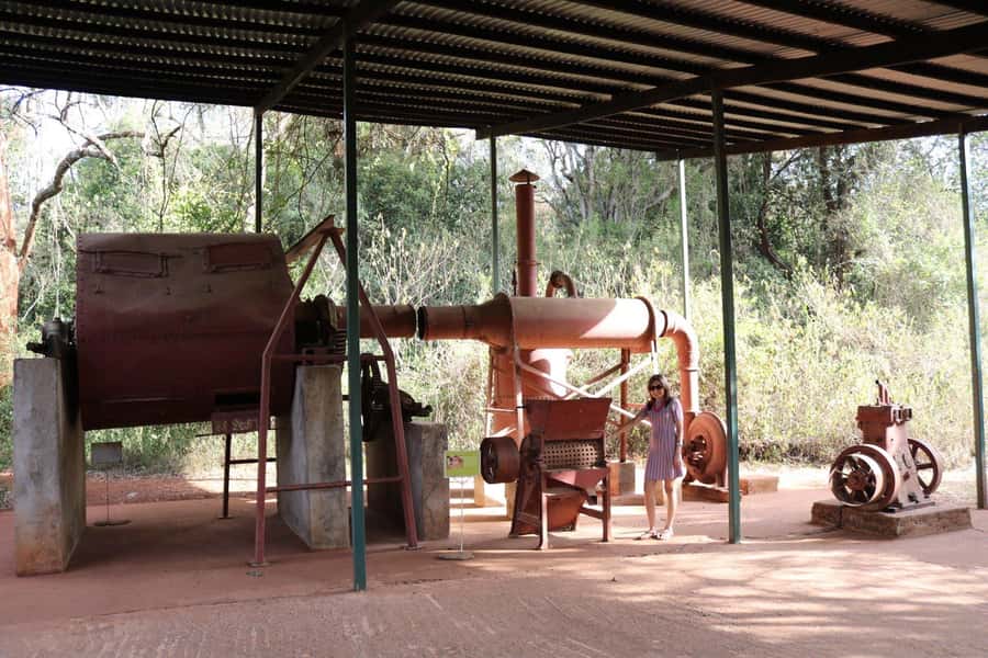 Nairobi Giraffe Center Tour with Karen Blixen & Kobe Beads" - Feeding giraffes at the Giraffe Centre