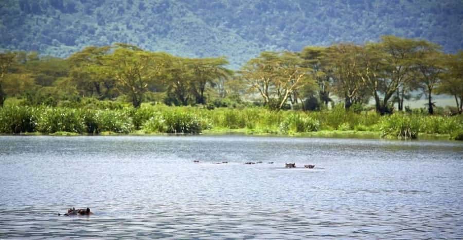 Nairobi:Group Hell's Gate National Park & Lake Naivasha Tour - Two hours on a bicycle inside Hell’s Gate