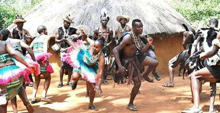 Nairobi: Guided Afternoon Tour to Bomas of Kenya. - Key points at a glance