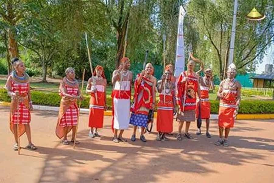 Nairobi: Guided Afternoon Tour to Bomas of Kenya. - Who will get the most from this Nairobi tour