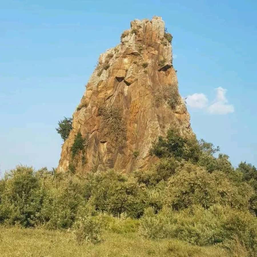 Nairobi: Hell's Gate National Park and Lake Naivasha Tour - The gorge walk adds drama and exercise