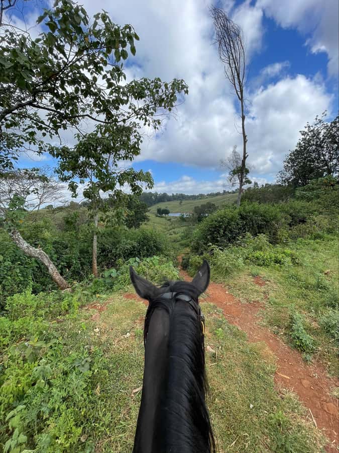 Nairobi: Horseback Riding Tour Through Maize Plantation - Key points at a glance