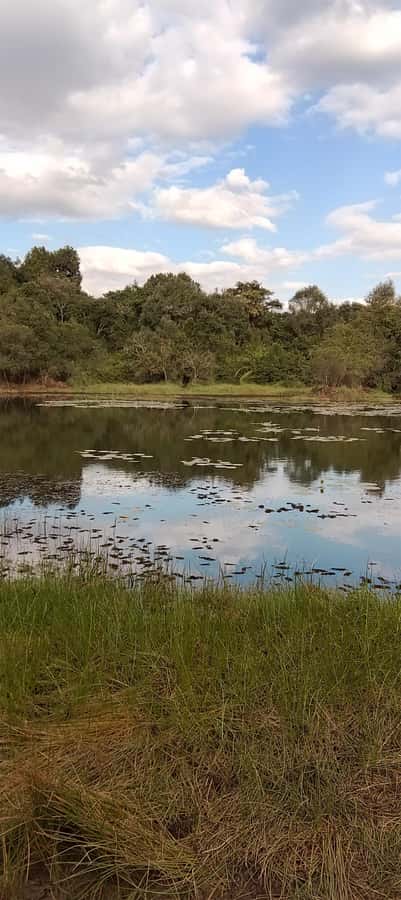 Nairobi: Karura Forest Guided Walking Tour - Guide Style and Personal Flexibility