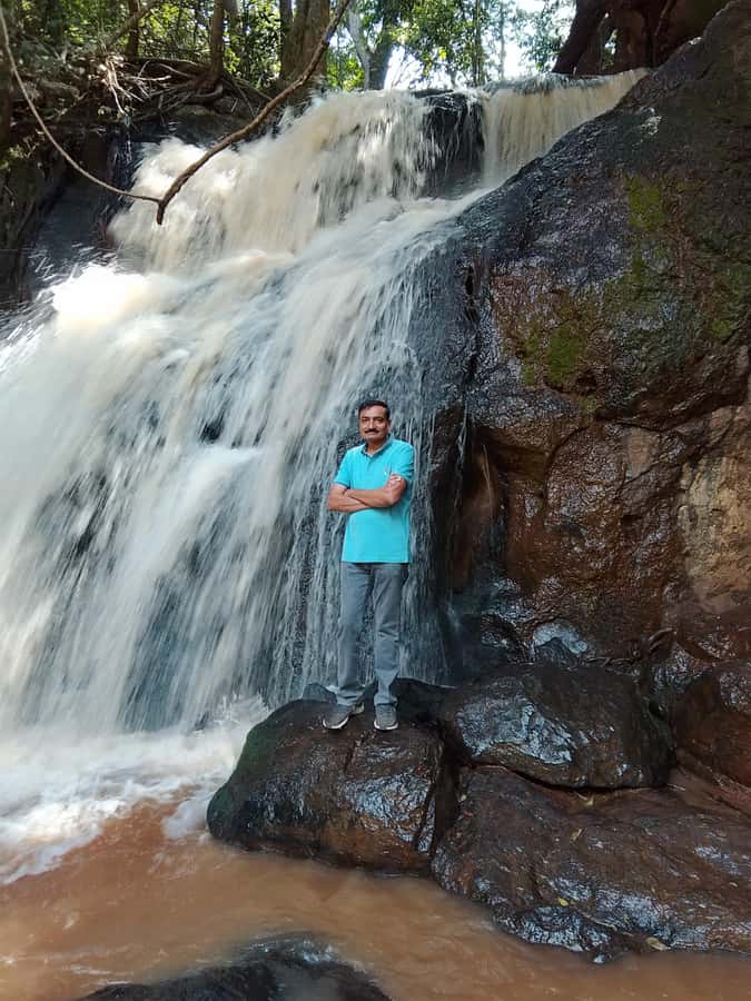 Nairobi: Karura Forest Guided Walking Tour - Who Will Enjoy This Three-Hour Walk