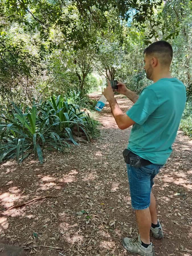 Nairobi: Karura Forest Guided Walking Tour - Walking Beneath Karura’s Canopy